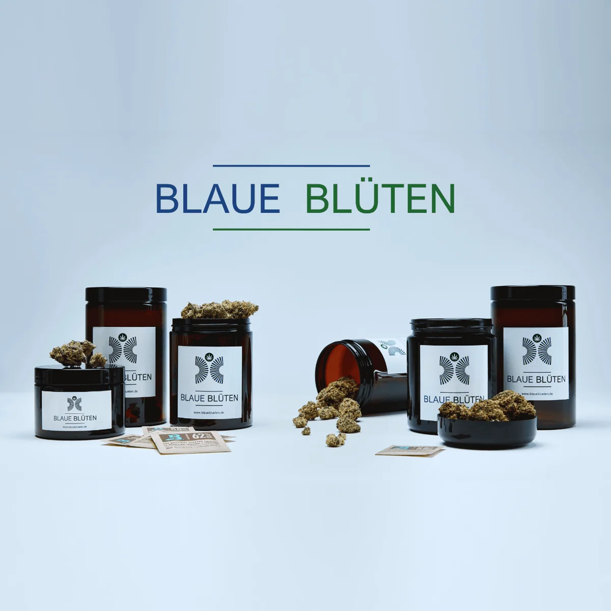 Blaue Blüten – medizinisches Cannabis aus der Blauen Apotheke